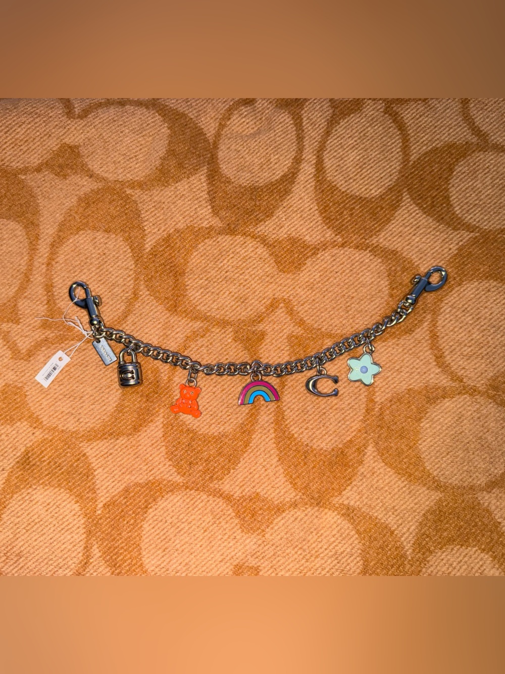Coach Chain with Charms